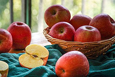 解密游戏《IMMORTALITY》上线 发售特惠63元